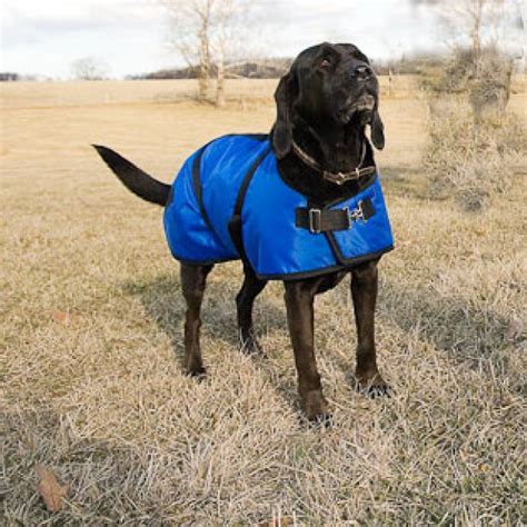 Foggy Mountain Nylon Turnout Dog Coats. . Foggy mountain dog coats
